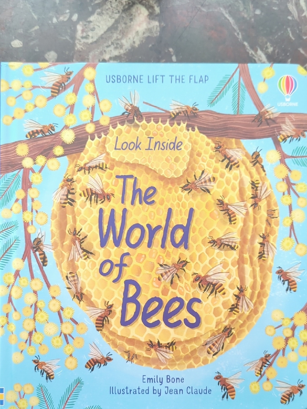 Usborne Look Inside: The World of Bees - Blue & Yellow Kids Learning Book